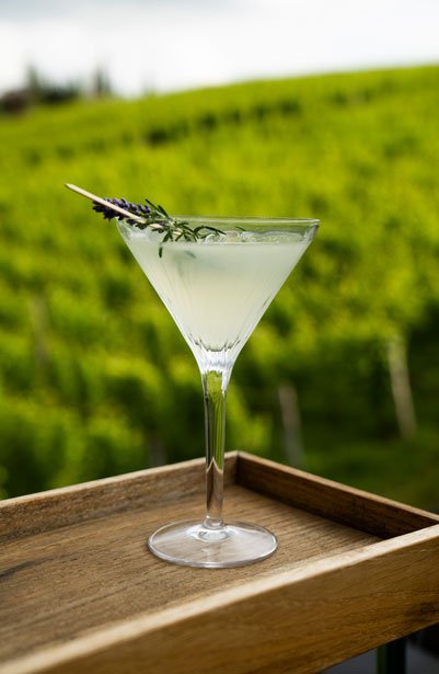 cocktail_fascia3